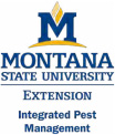 Logo: MSU Extension IPM stylized text